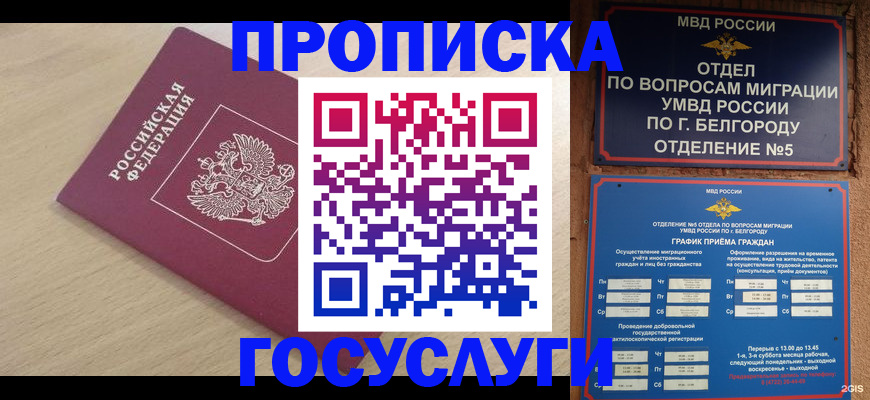 прописка законно в Кудрово